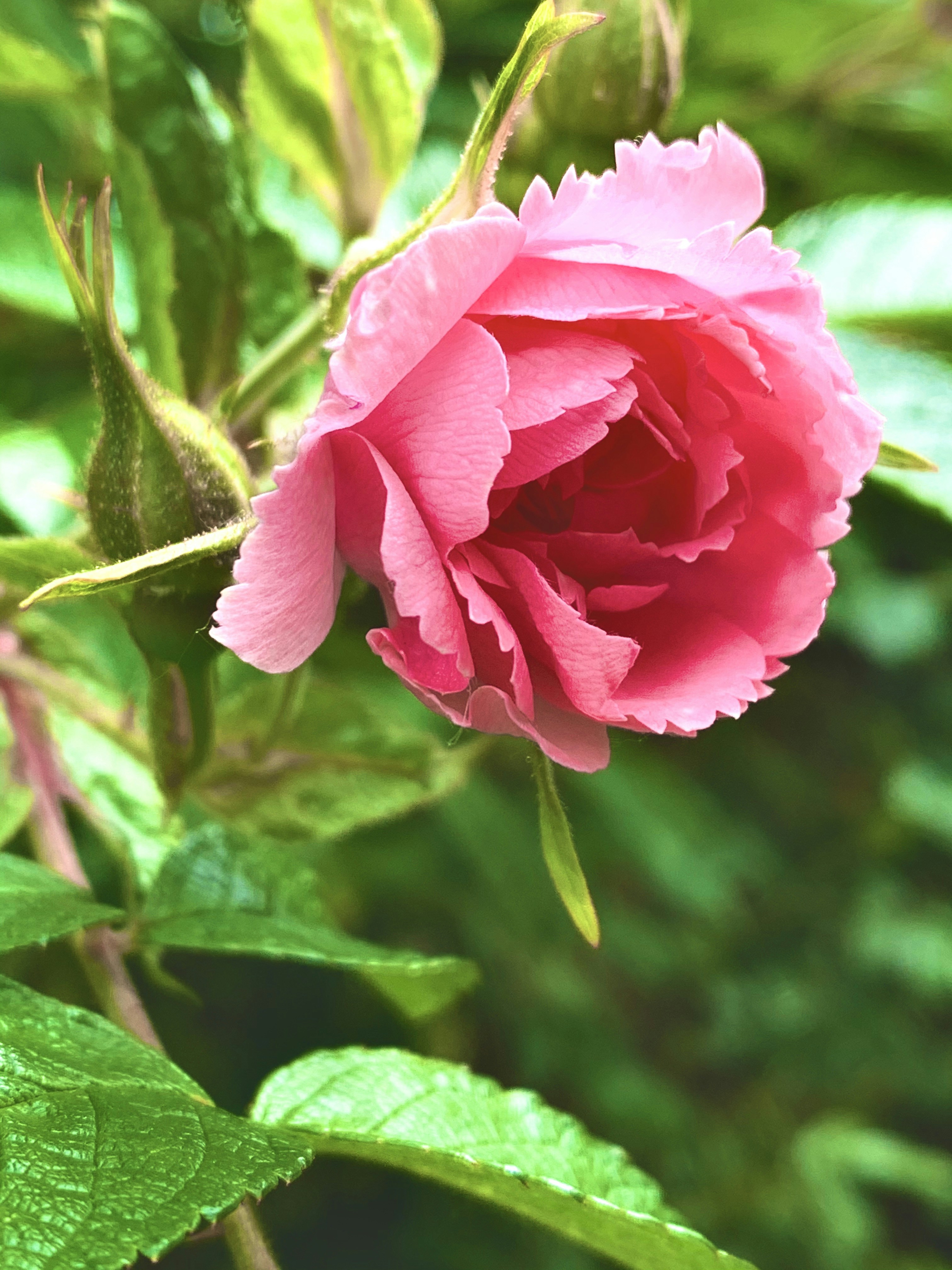 Photo by sweetsimplesunshine