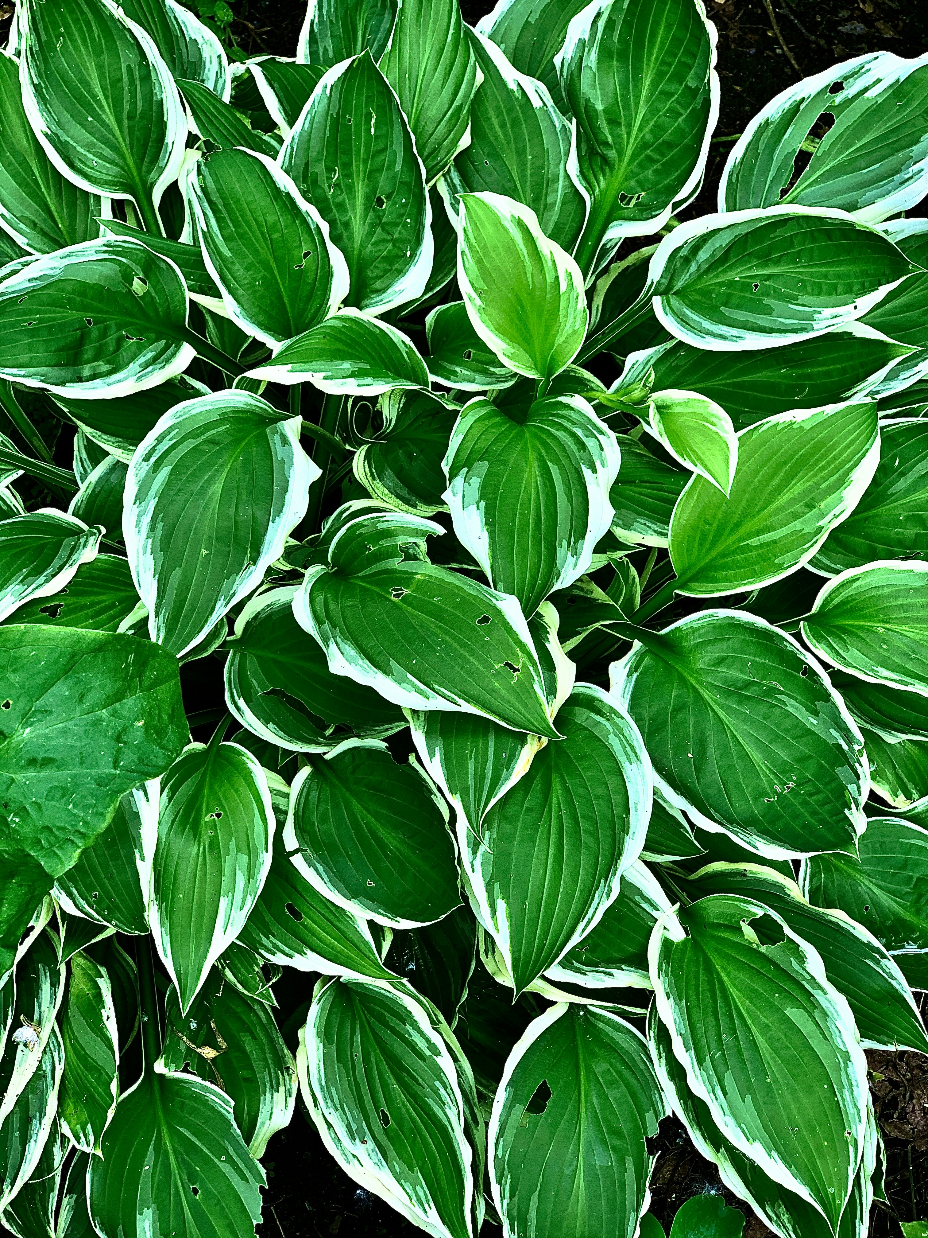 Photo by sweetsimplesunshine