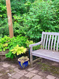 Rustic wooden bench placed on a sunlit garden patio.
