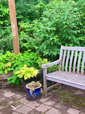 A weathered wooden bench sits on a stone patio surrounded by lush green foliage. Several potted plants are placed nearby, with the vibrant plants contrasting against a bright blue pot. The scene suggests a tranquil and inviting garden setting.