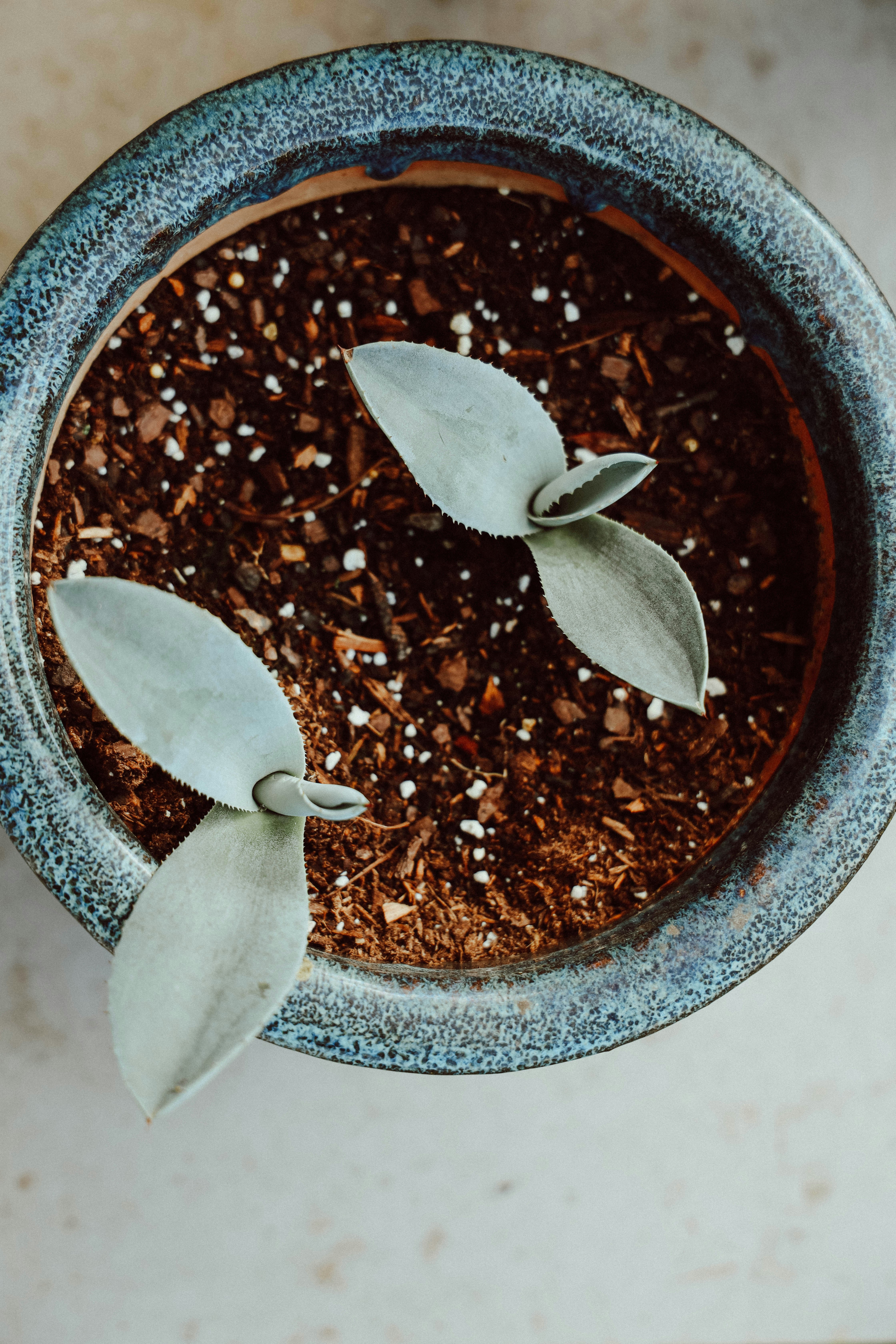 Photo by jessedpoole