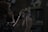 A person with curly hair and a beard is cutting a section of long hair using scissors. The scene is dimly lit, creating a moody atmosphere with dark shadows. The background is blurred, showing hints of shelves and indistinct objects.