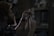 A person with curly hair and a beard is cutting a section of long hair using scissors. The scene is dimly lit, creating a moody atmosphere with dark shadows. The background is blurred, showing hints of shelves and indistinct objects.