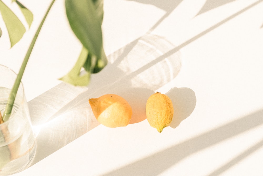 fruits ronds jaunes sur papier blanc