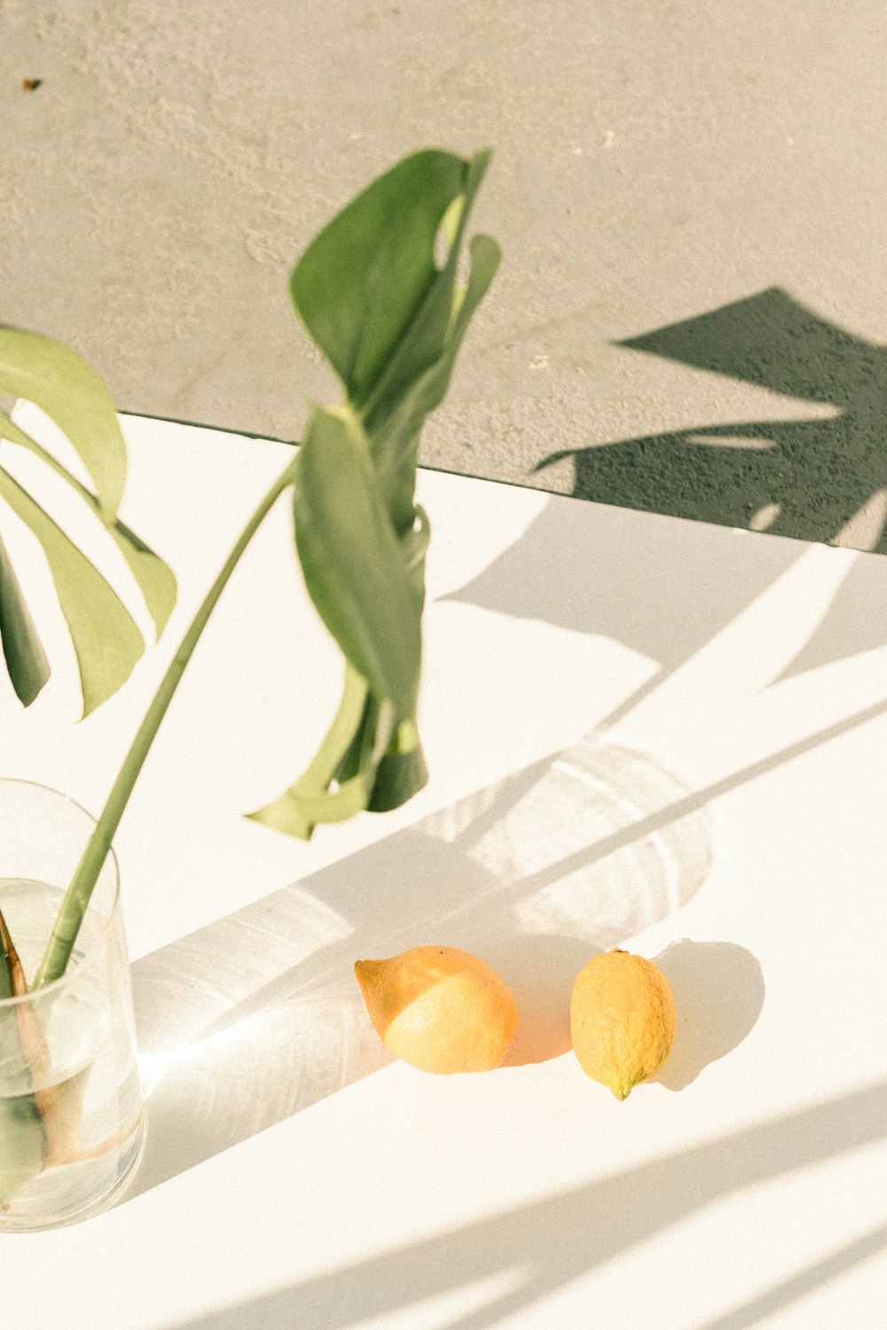 orange fruit on white textile