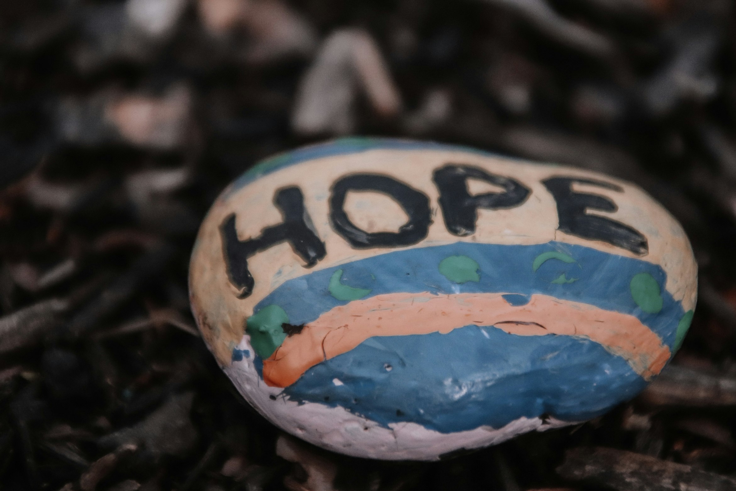 Plant growing through concrete symbolizing resilience, healing, and hope in trauma recovery through DBT