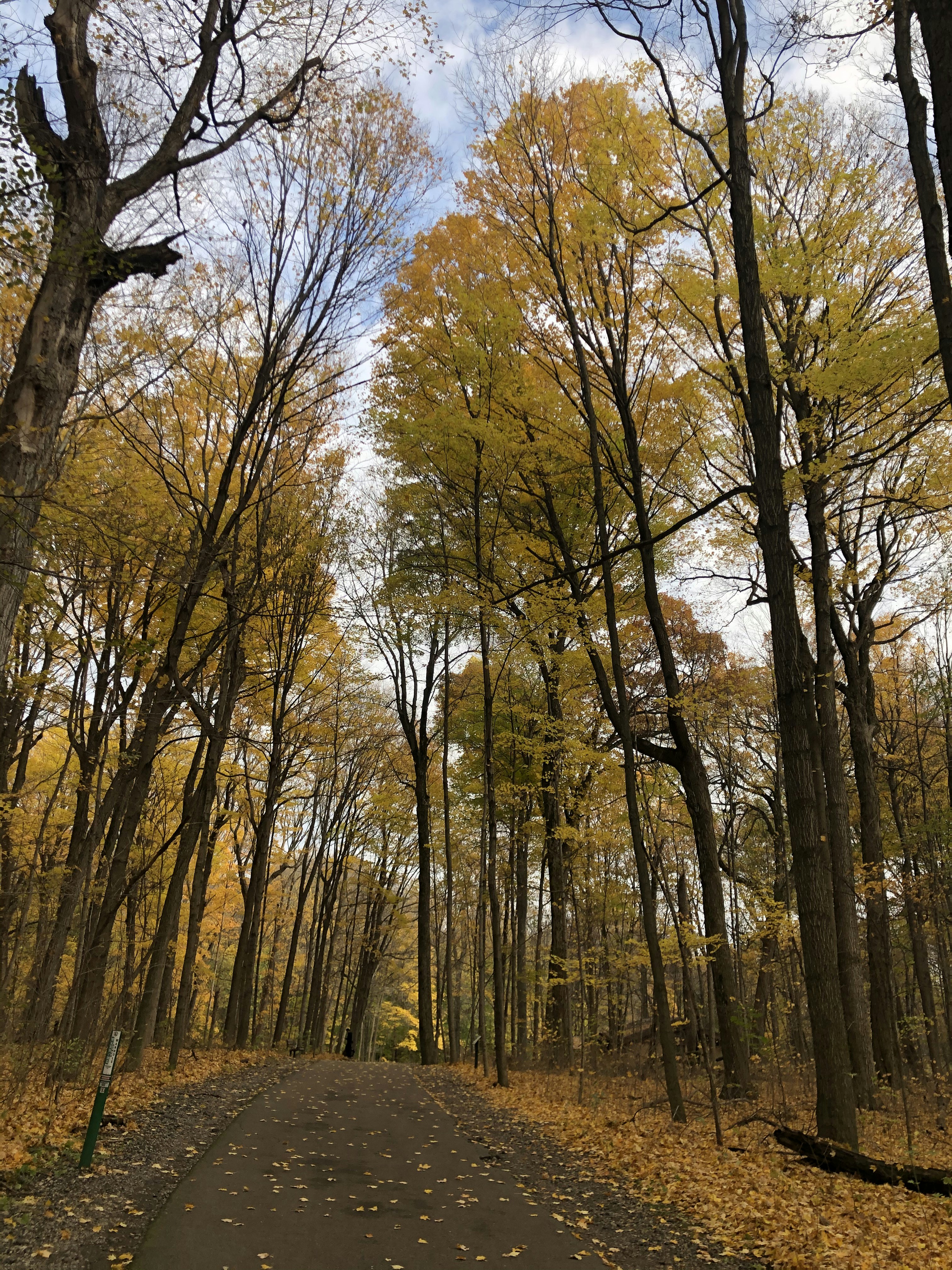 Photo by lausanak007