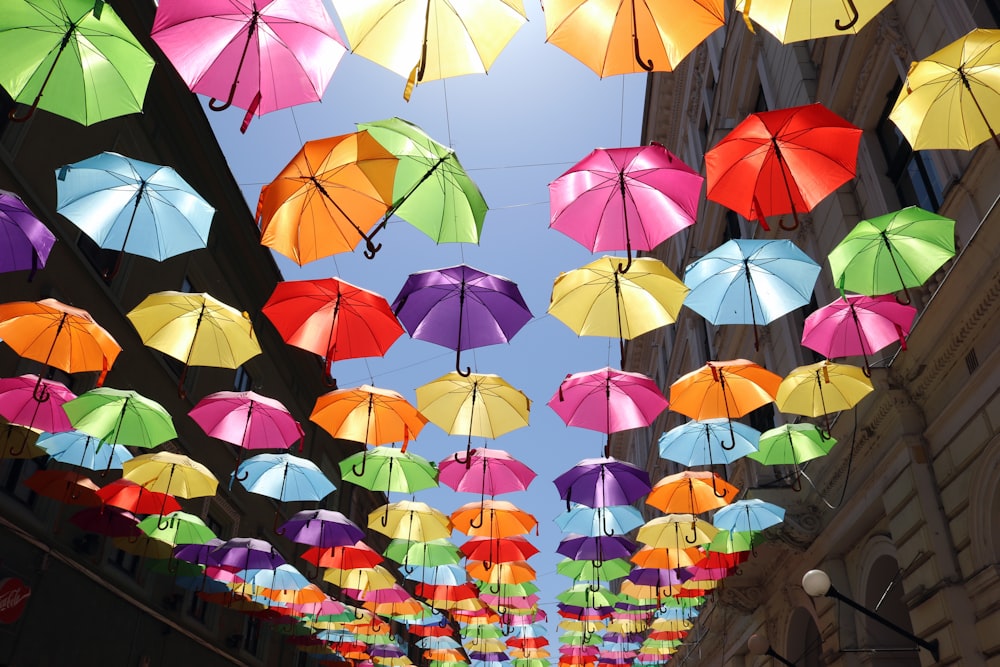 multi colored umbrella umbrella during daytime