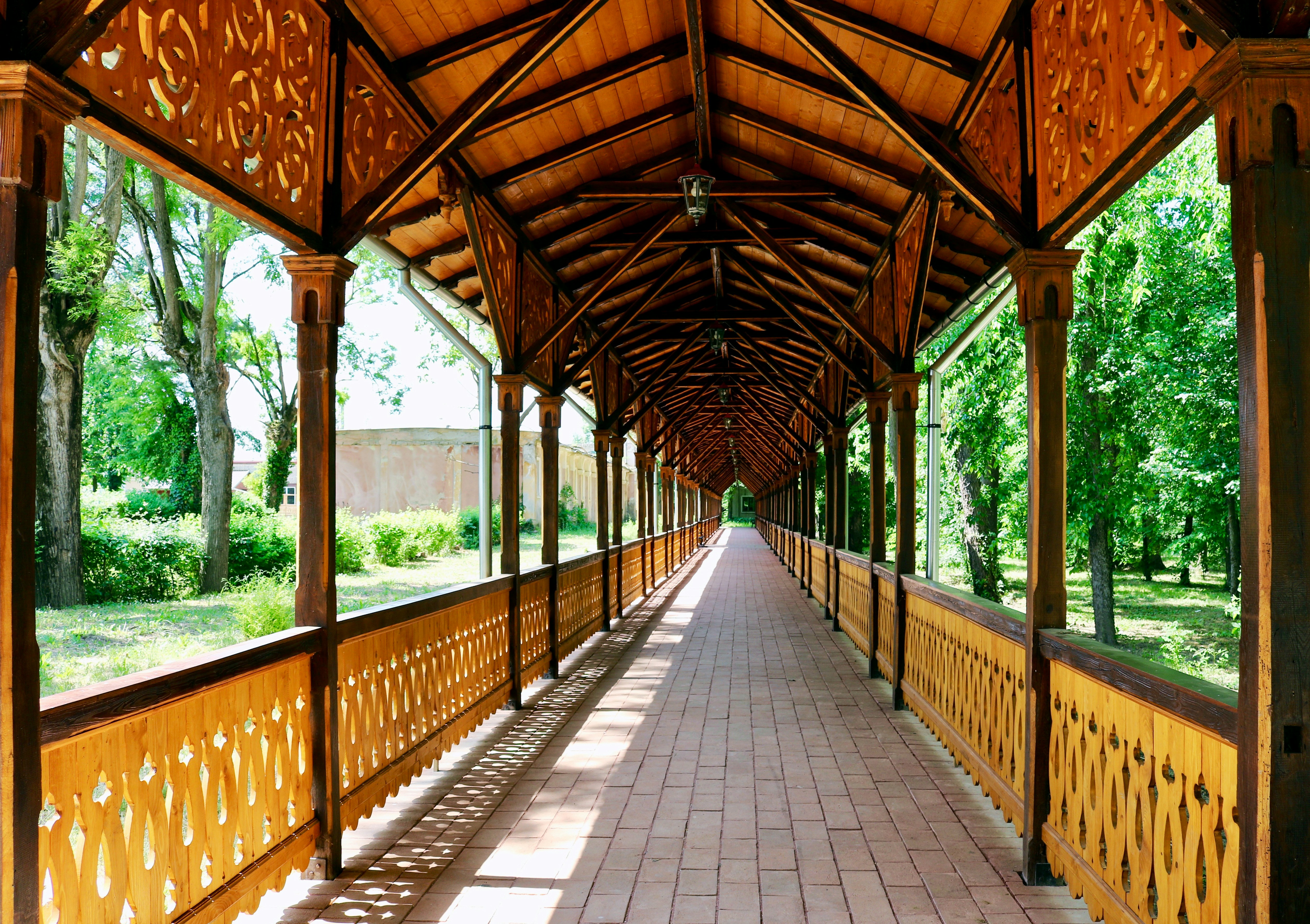 Photo by catt_titude