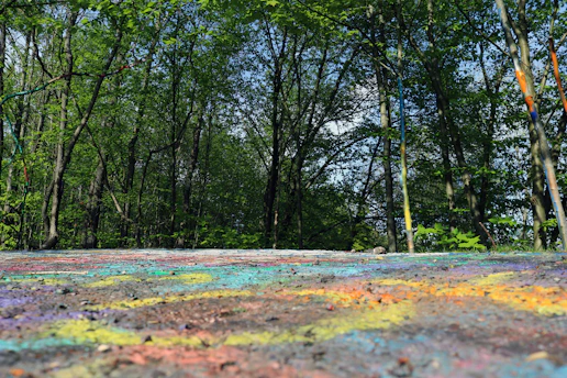 Children painting colorful nature-inspired artwork outdoors under the gentle shade of trees.