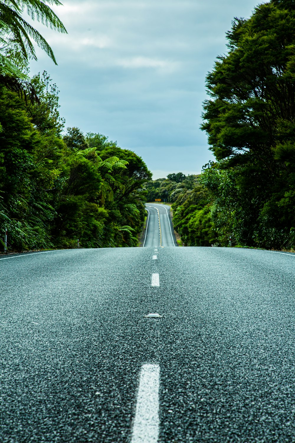 gray asphalt road between green trees under white clouds and blue sky during daytime