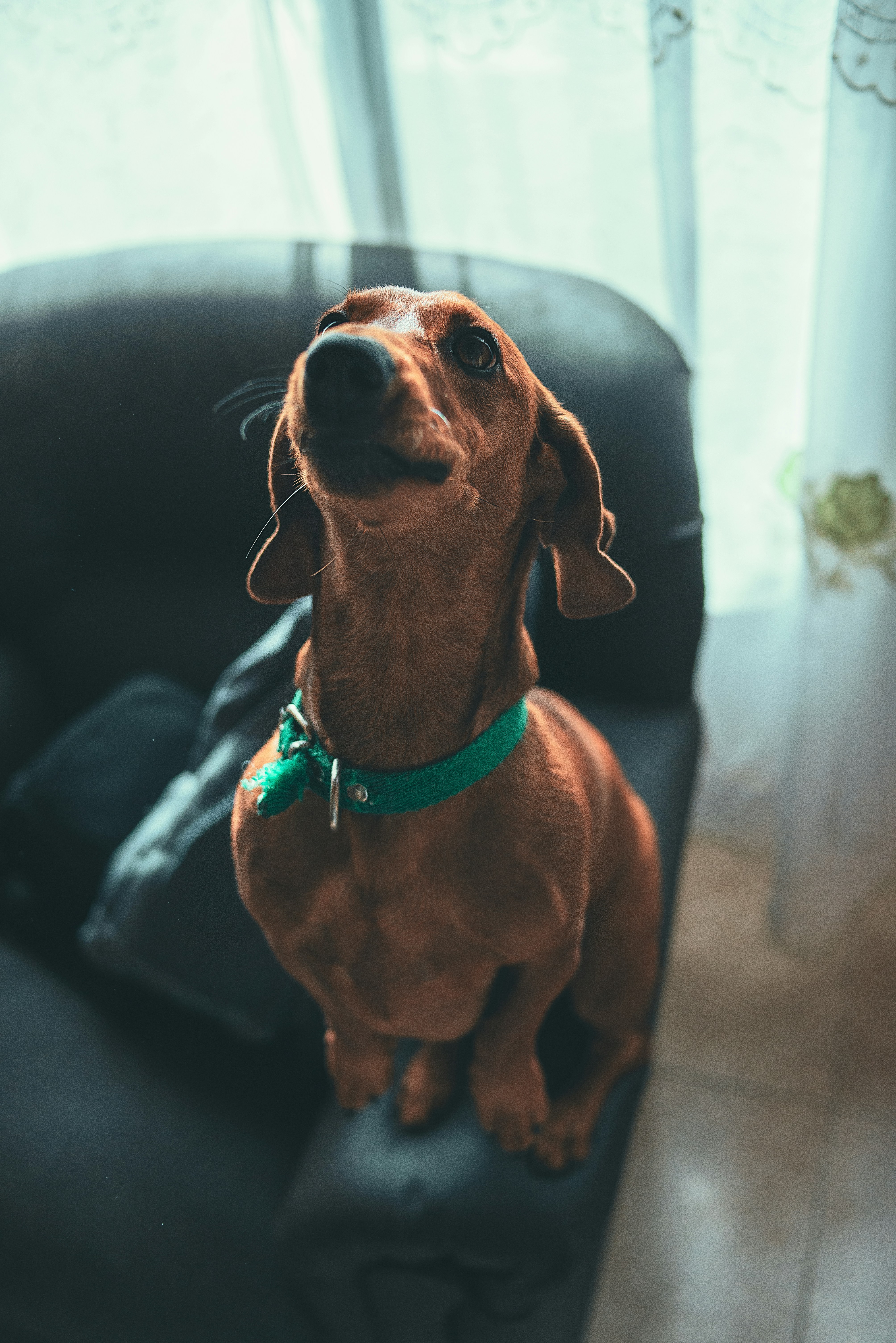 Photo by agustinfernandez