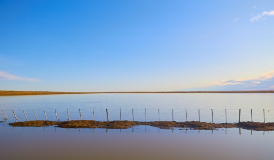 brown wooden dock on body of water during daytime in Laguna Blanca Chile