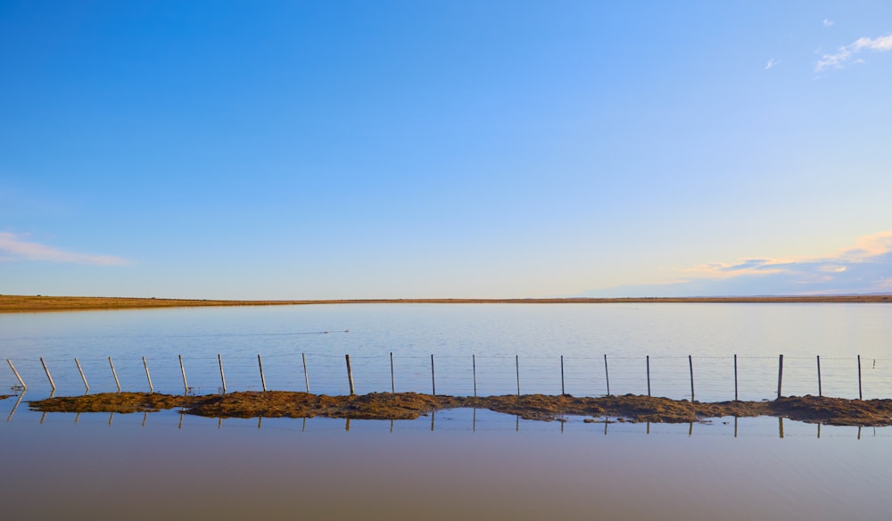 brown wooden dock on body of water during daytime