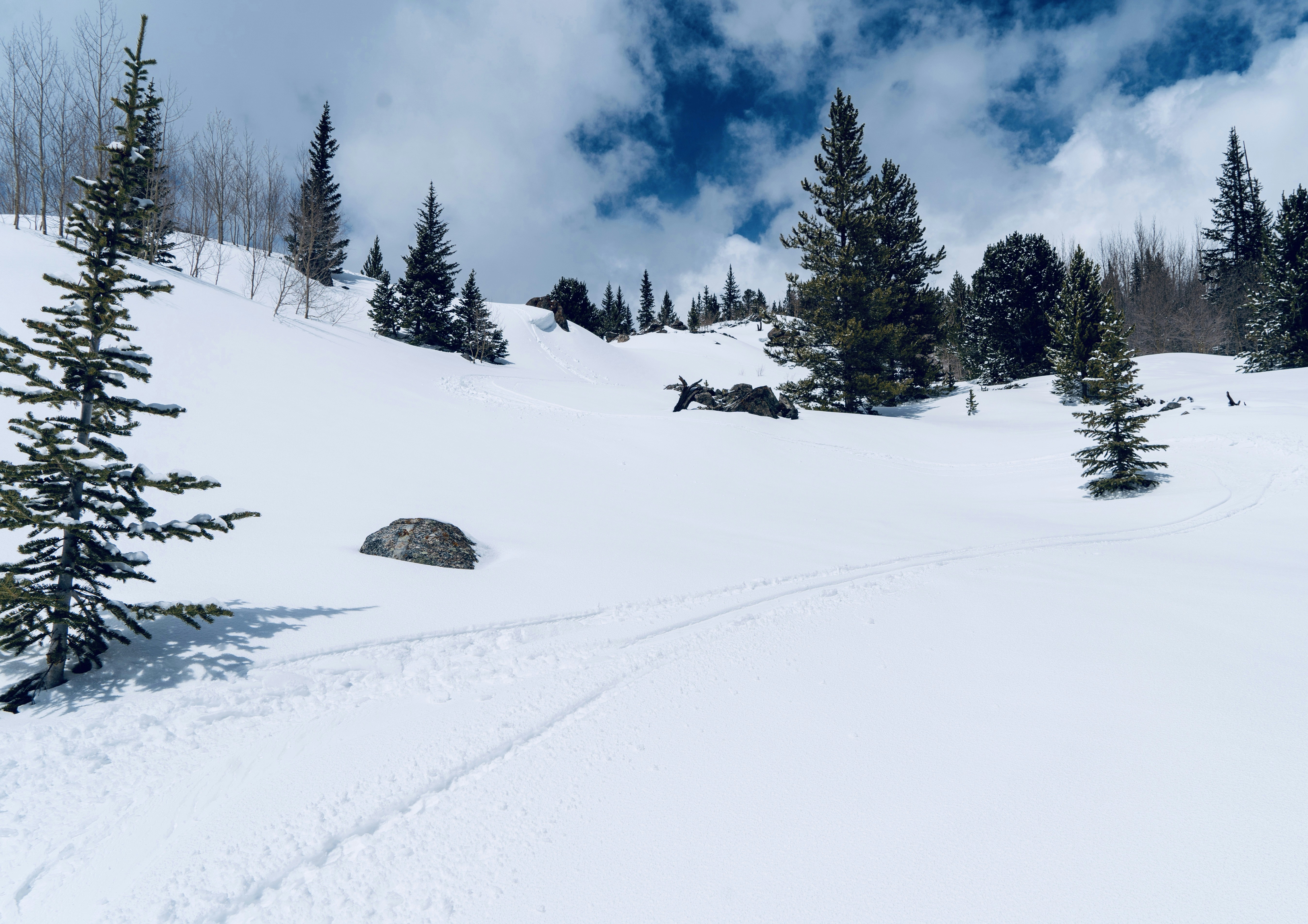 Photo by sea_to_sky_perspective