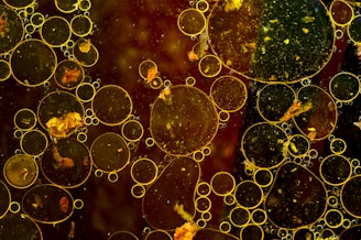 water droplets on glass window
