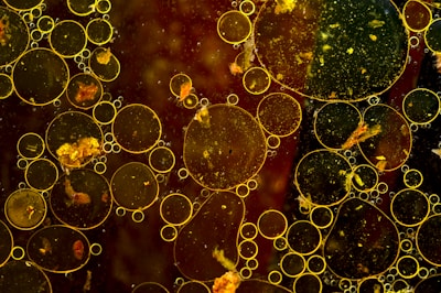 water droplets on glass window