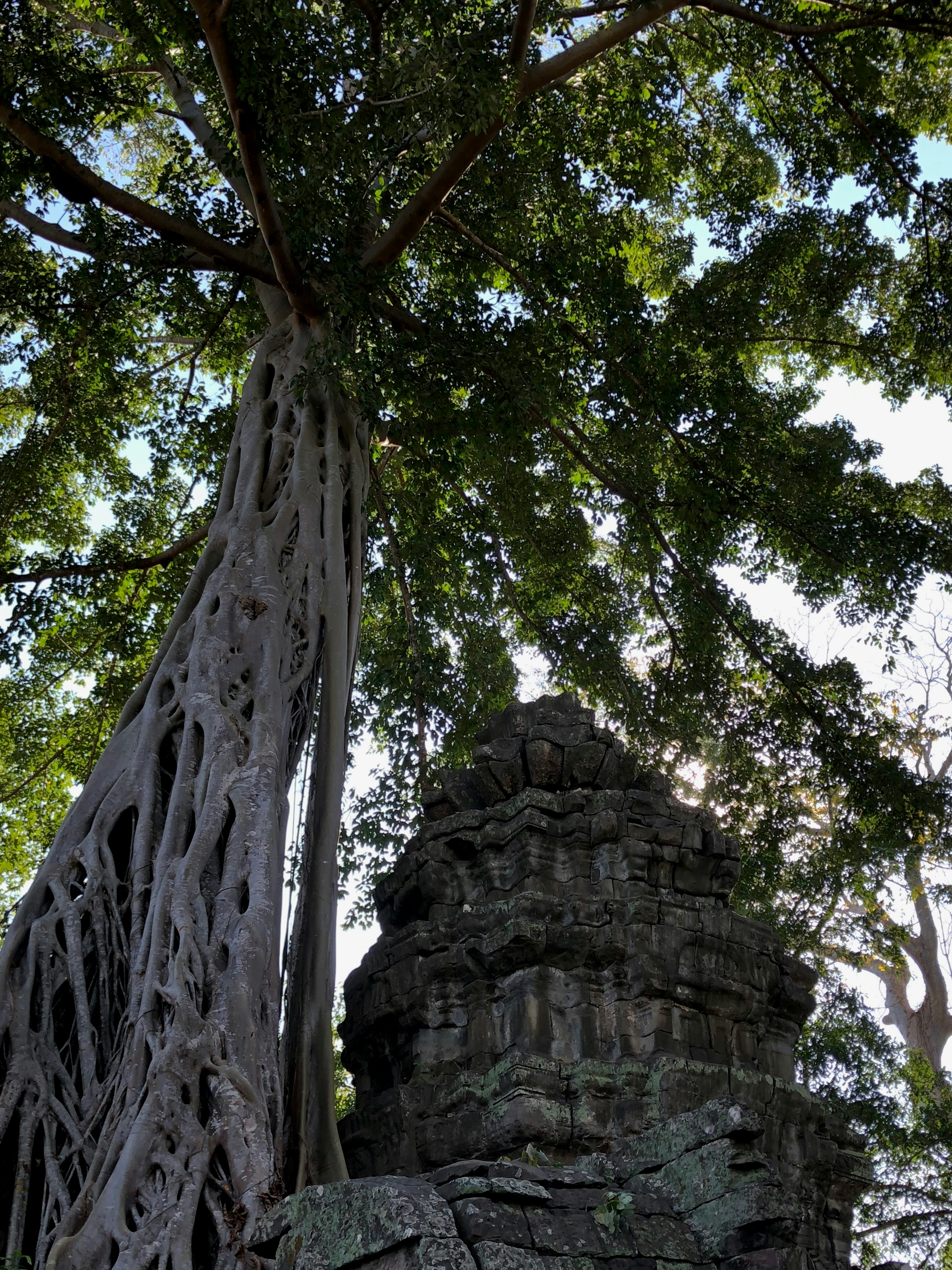 Photo by anishakgupta