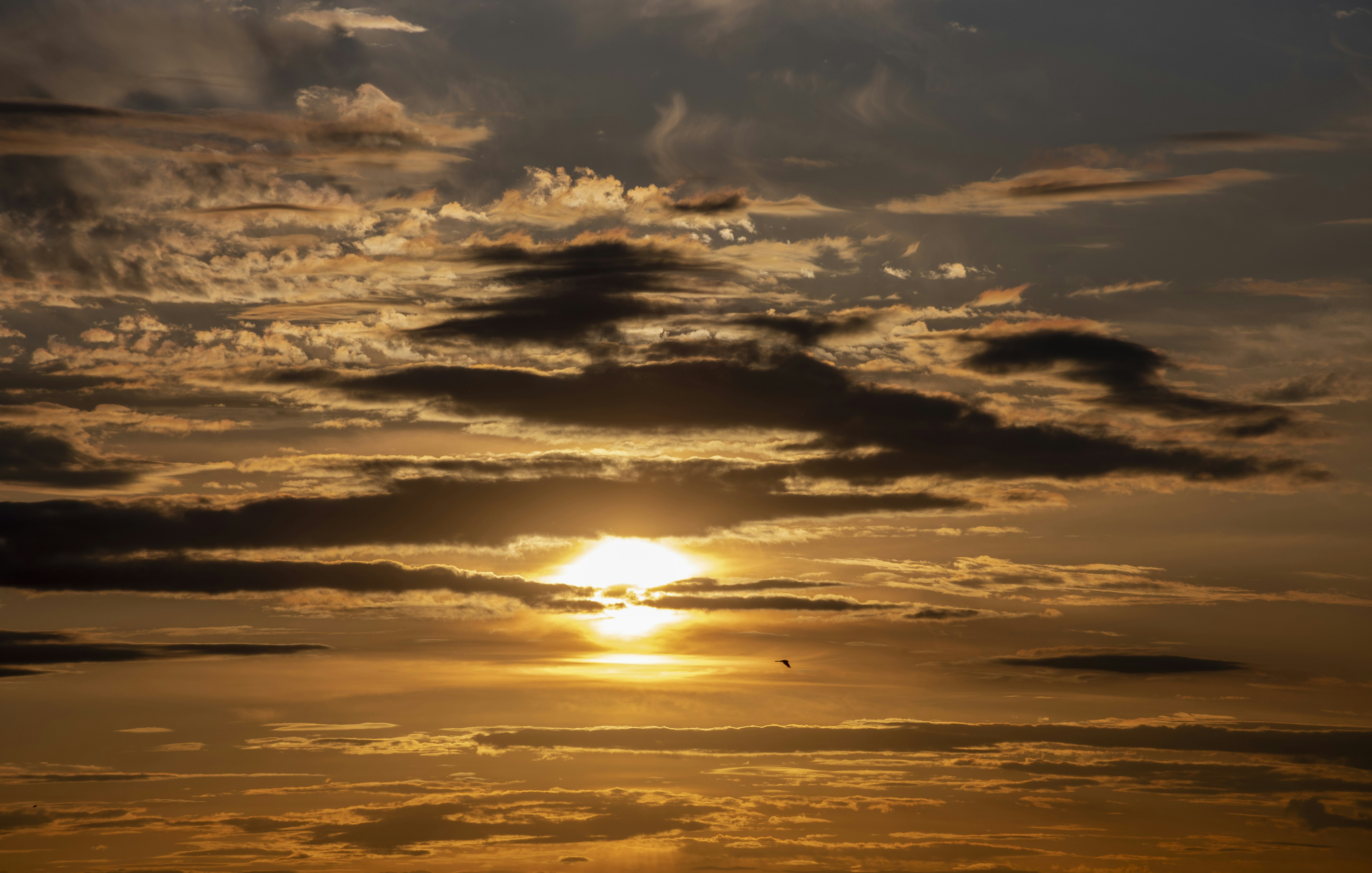 Photo by gabrielrana