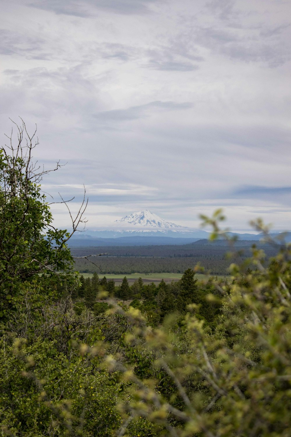 green trees near mountain under white clouds during daytime