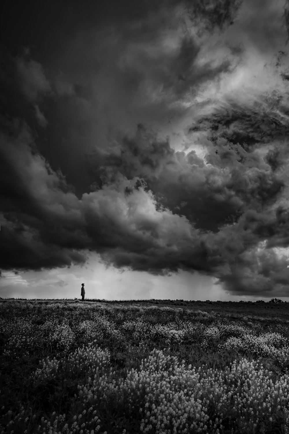 grayscale photo of grass field under cloudy sky