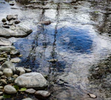A serene stream flowing over smooth stones, reflecting clear skies.