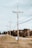 Utility poles stand in a line along a grassy roadside, with overhead power lines stretching into the distance. The landscape features a gentle hill and a backdrop of trees under a pale sky.