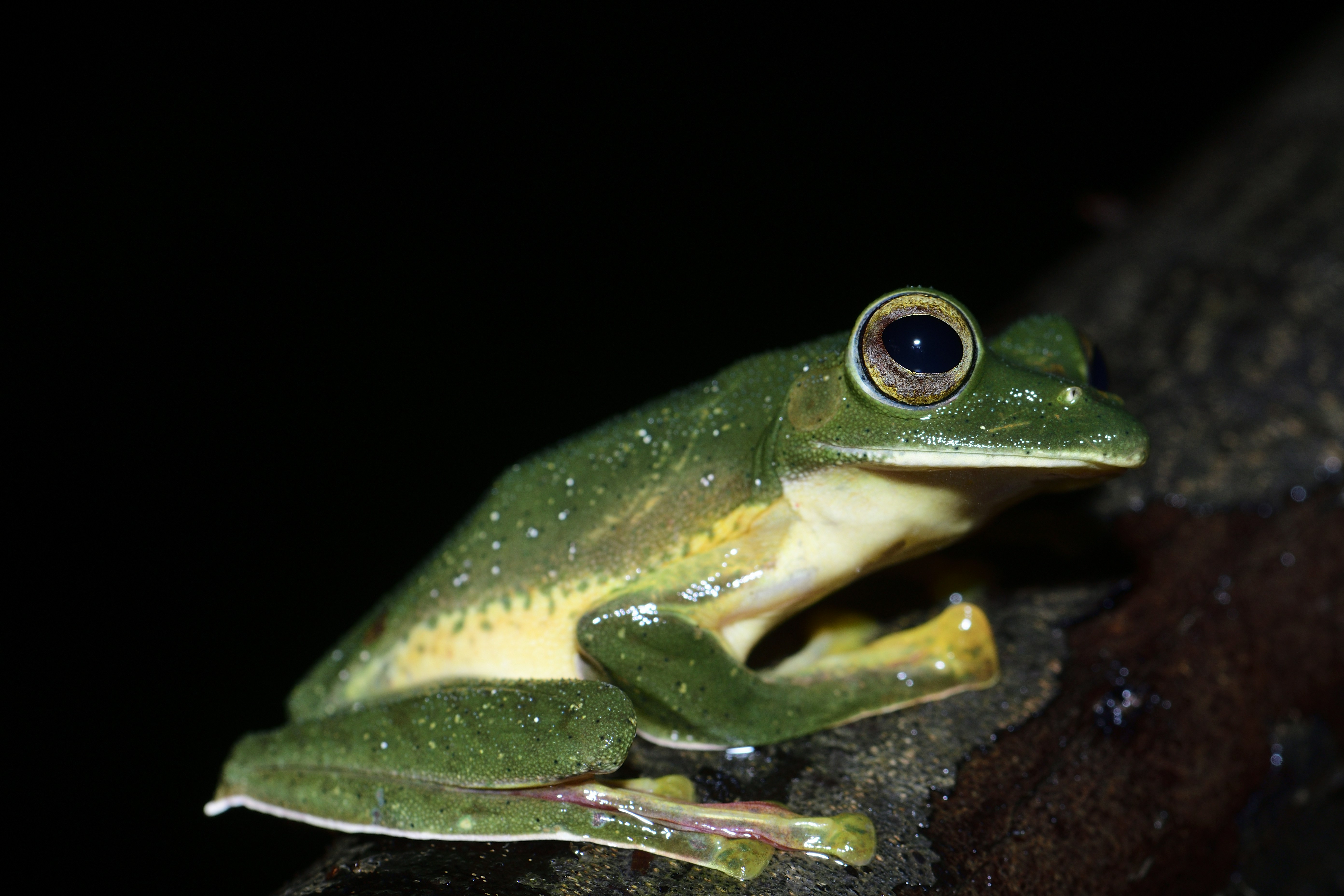 Photo by santanu misra