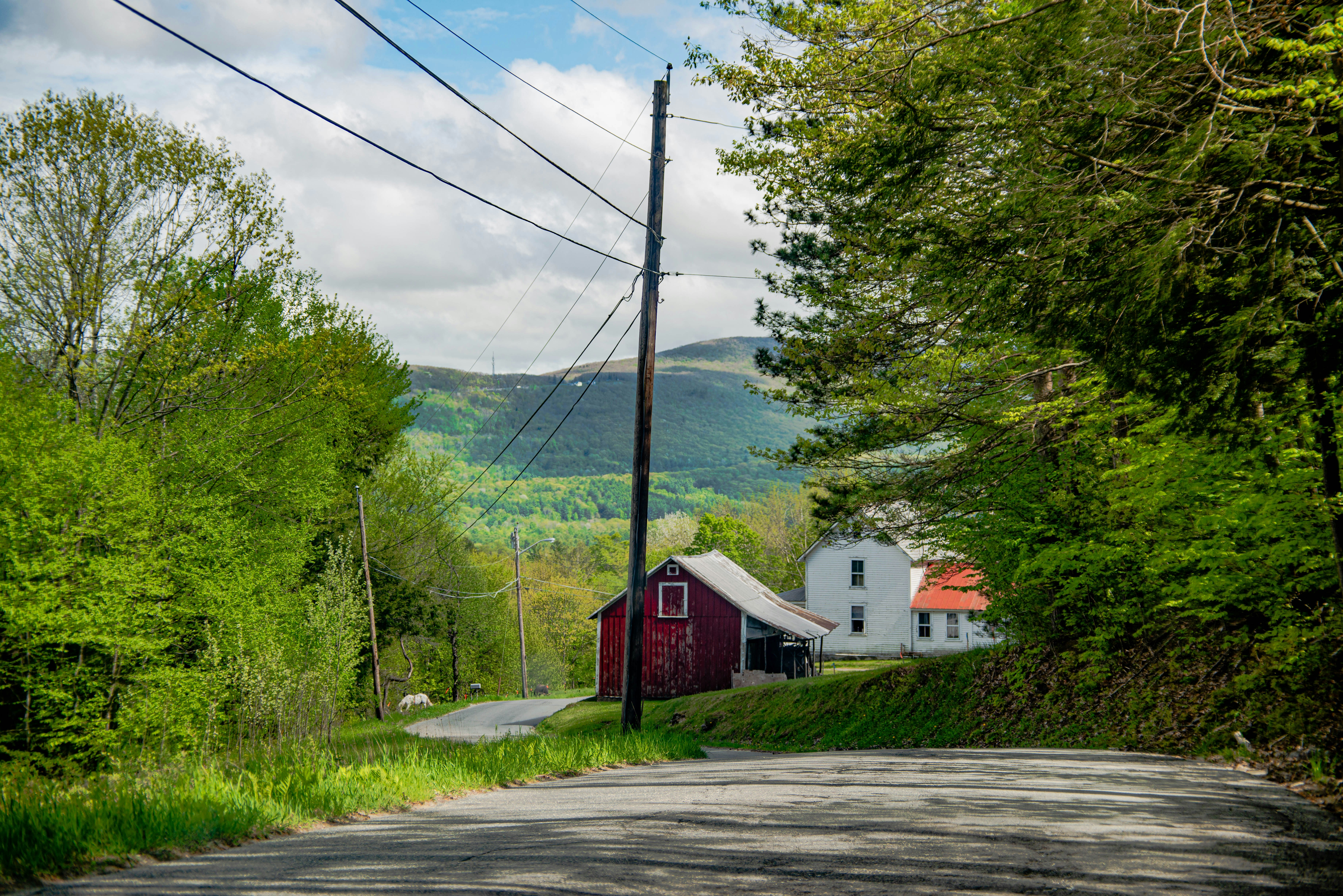 Photo by masondoesphotos