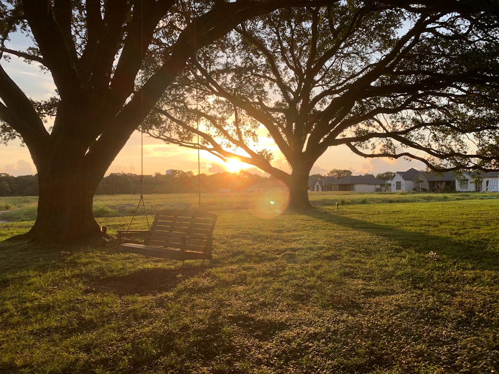 brown wooden bench on green grass field during sunset
