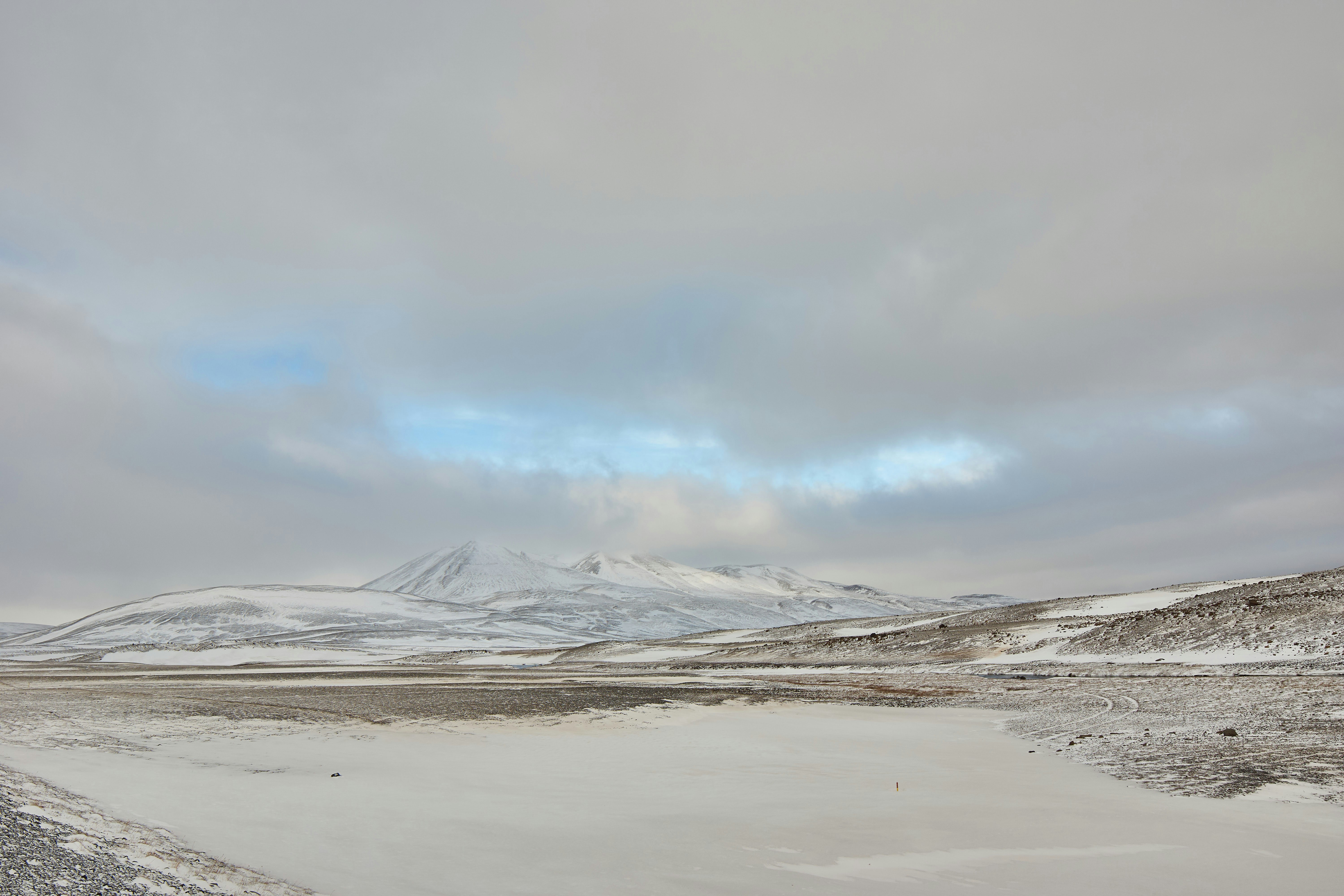 Photo by wolfgang_hasselmann