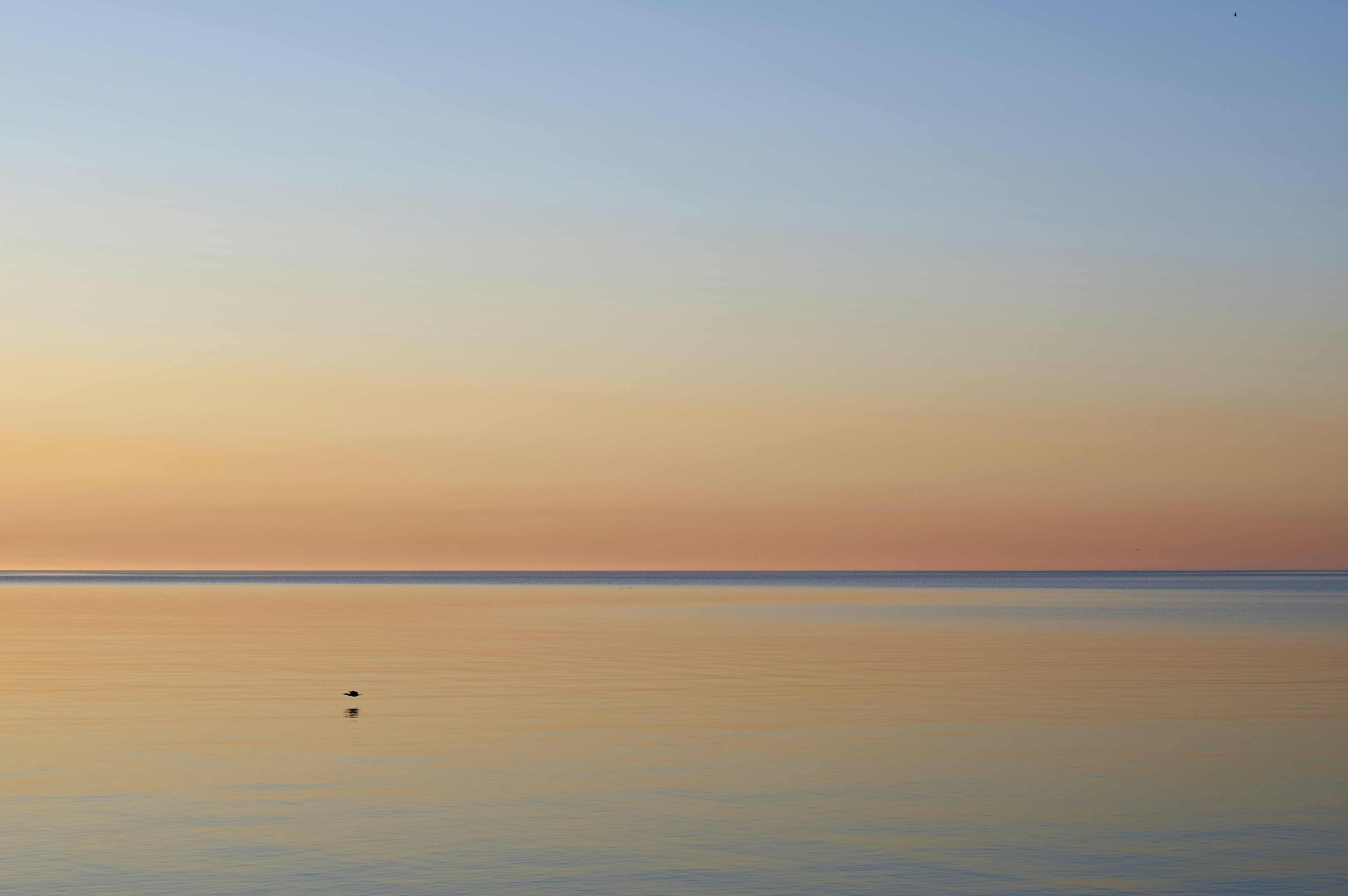 Photo by wolfgang_hasselmann