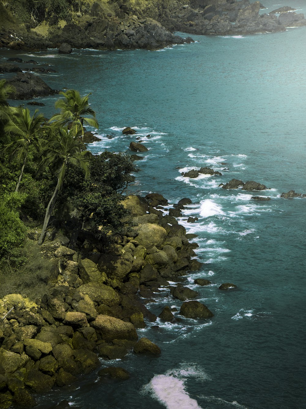 green trees near body of water during daytime