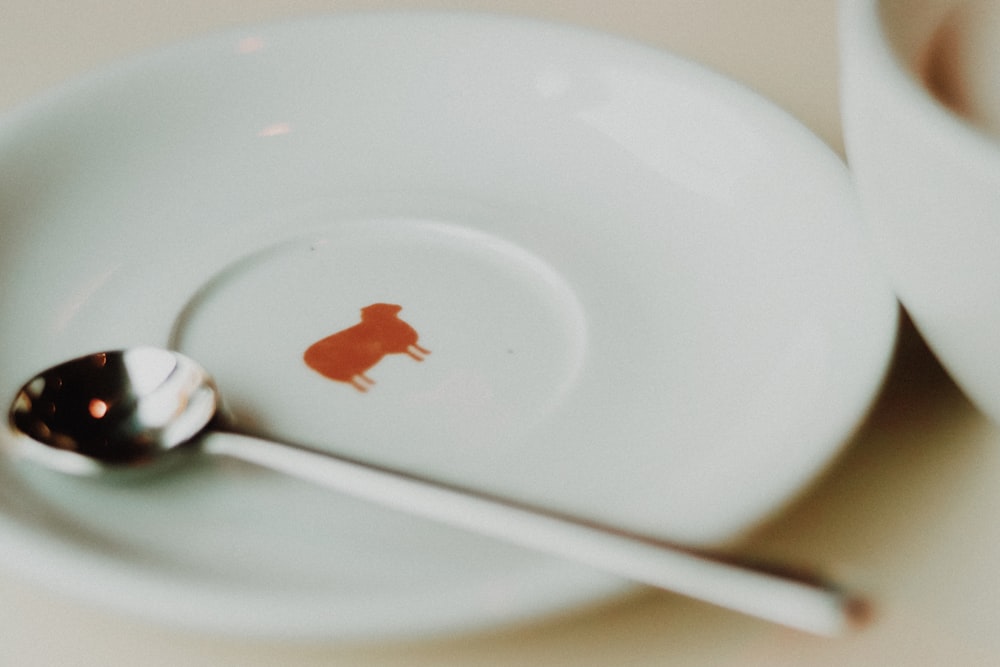 white ceramic plate with stainless steel spoon