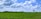 A vast green agricultural field stretches towards the horizon under a bright blue sky with scattered white clouds. Rows of lush plants cover the ground, suggesting cultivated crops. A few solitary trees can be seen, and low hills are visible in the distance.