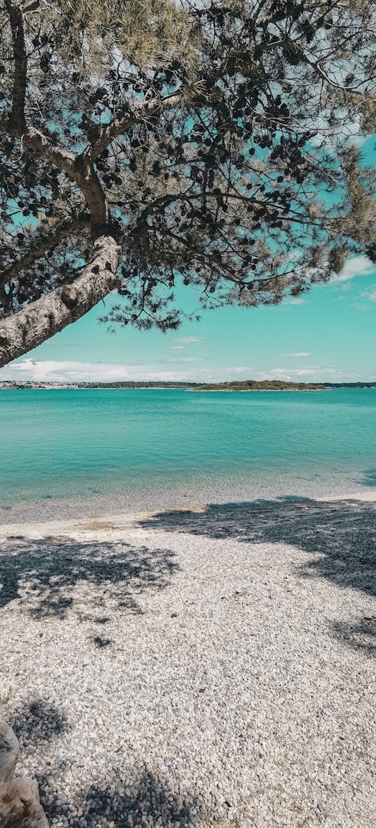 blue sea under blue sky during daytime in Pomer Croatia