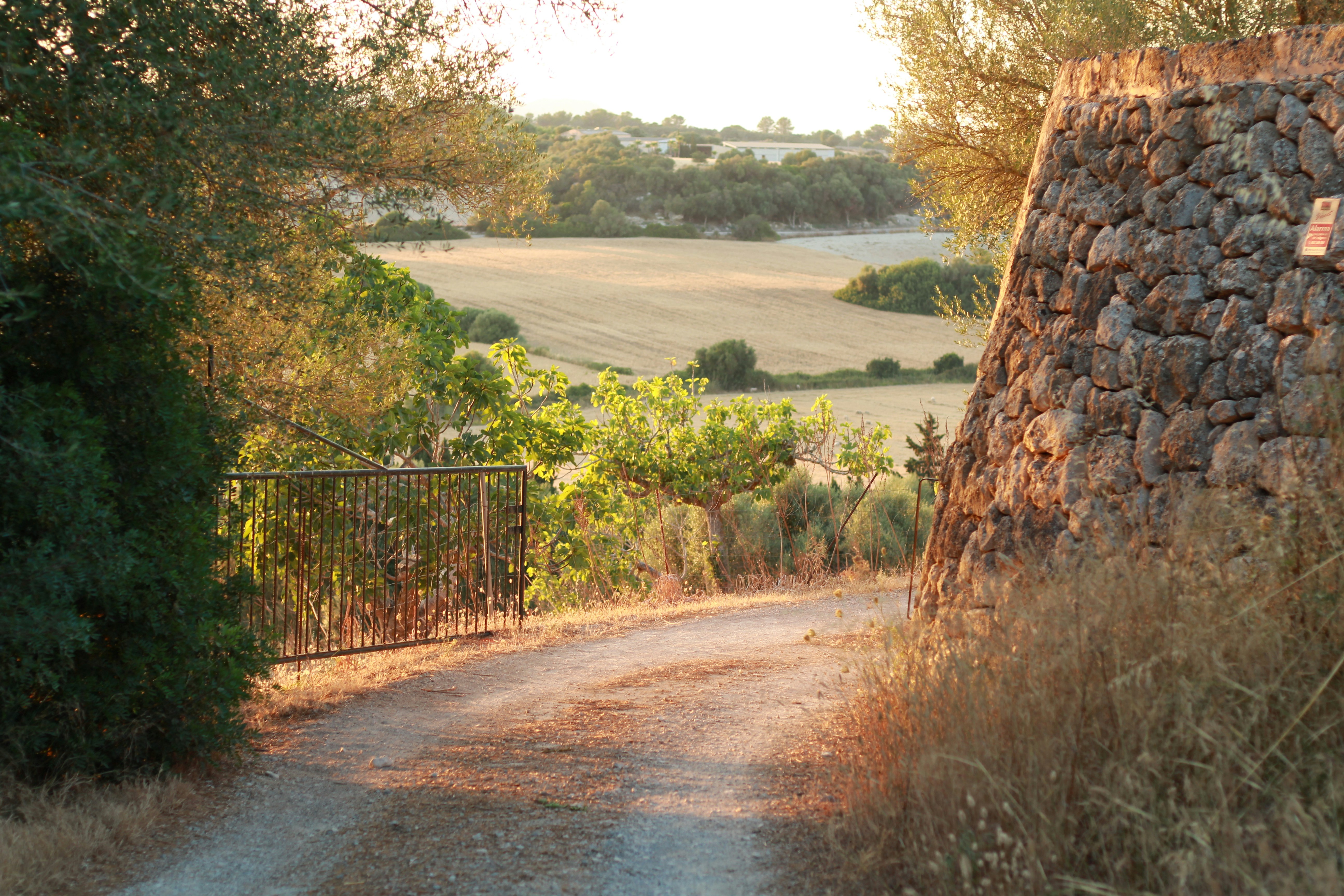 Photo by ulmanphotography