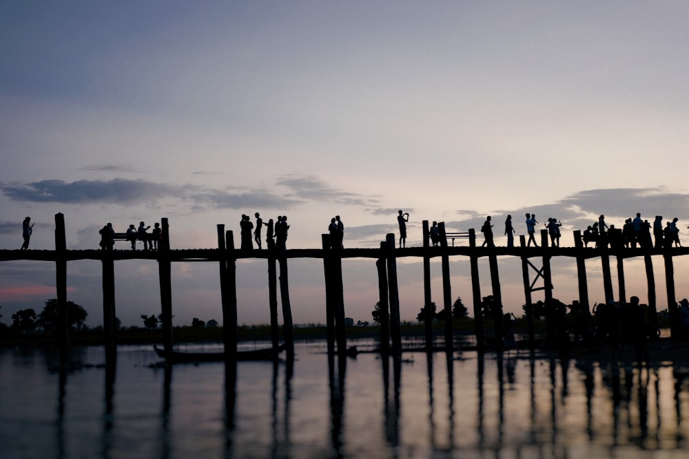silhouette of people standing on dock during daytime