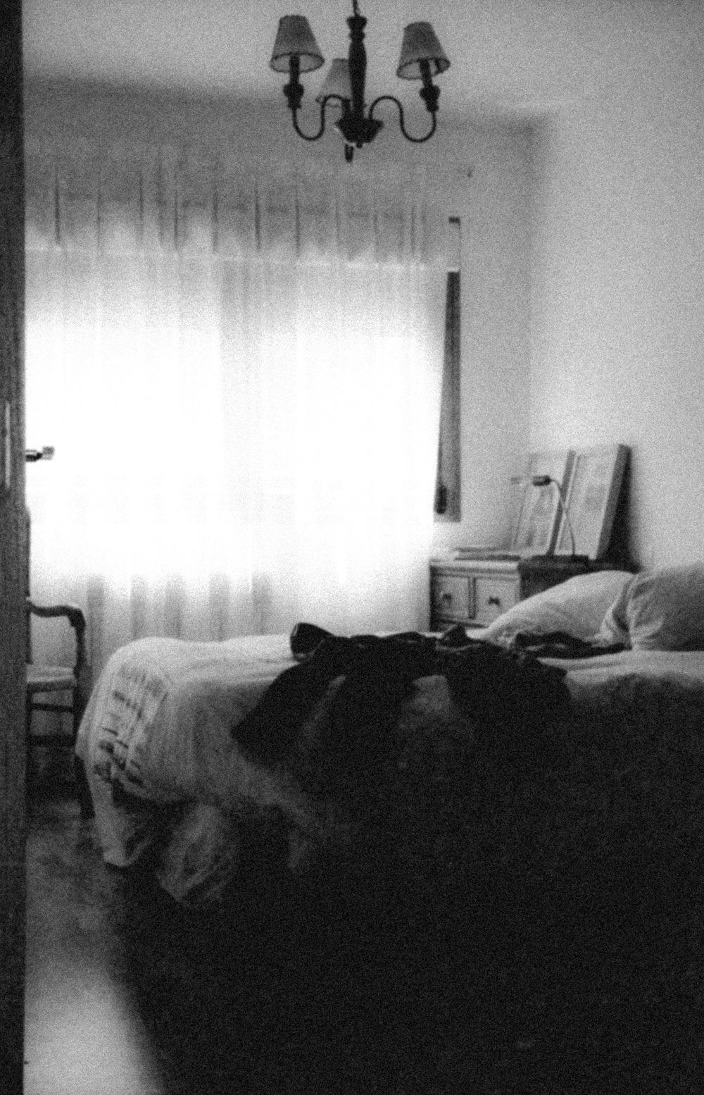 black and white photo of a dog on bed