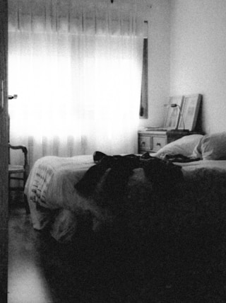 black and white photo of a dog on bed
