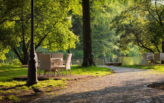 brown wooden armchair on brown dirt ground near green trees during daytime in Pszczyna Poland