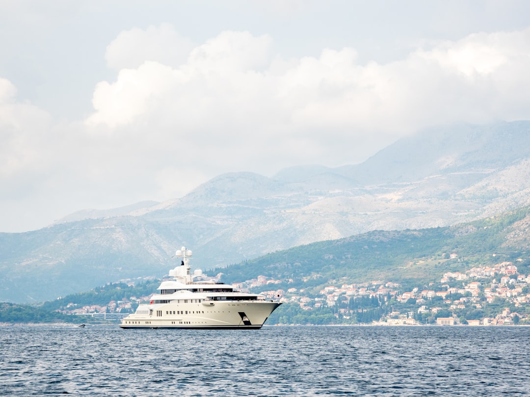 white cruise ship on sea during daytime