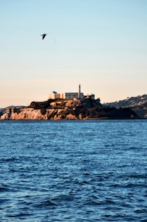 brown rock formation on sea during daytime