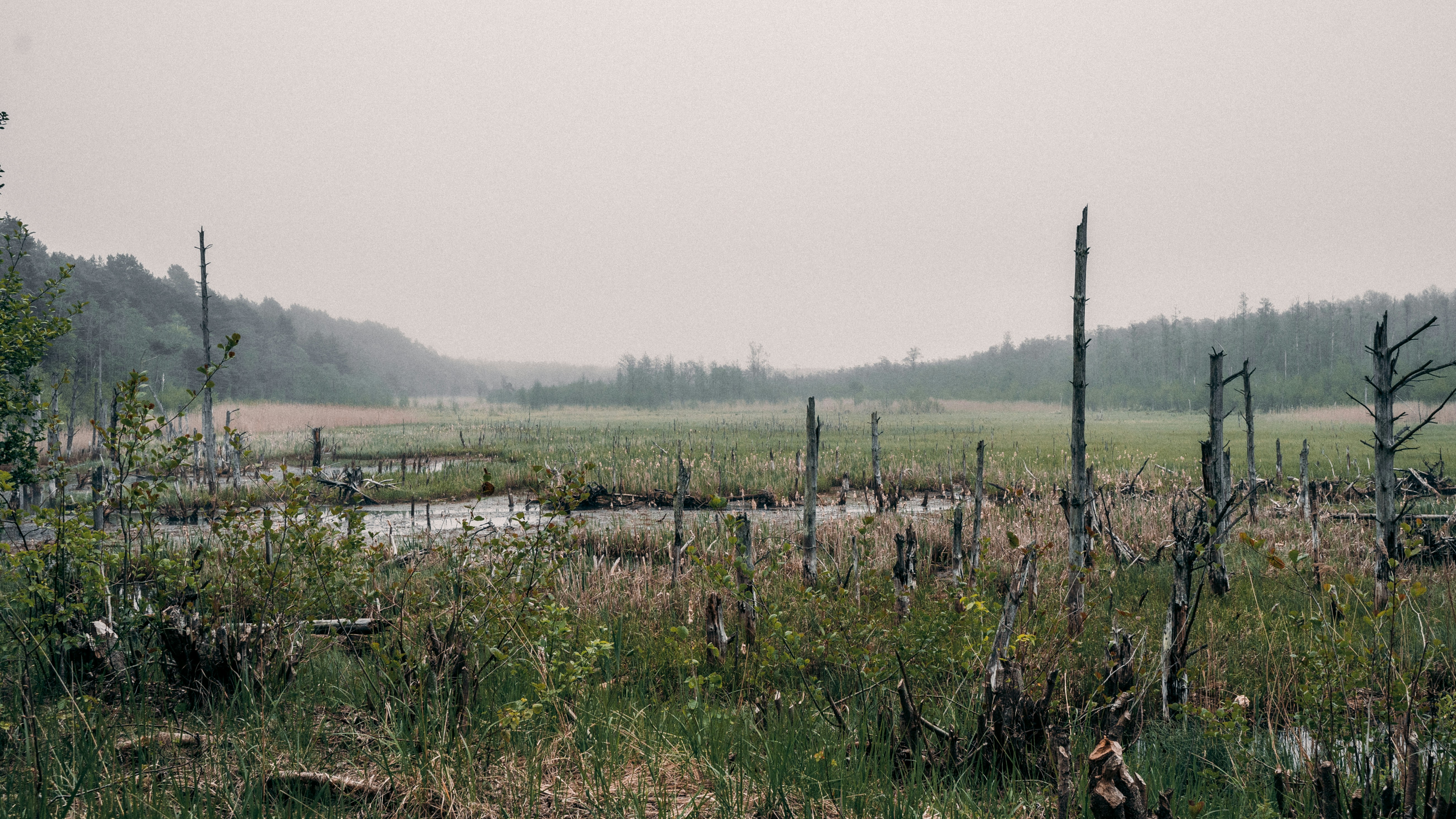 Photo by marklandmanphoto