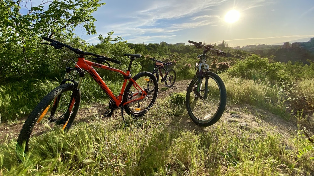 Bicicleta de montaña roja y negra en campo de hierba verde durante el día