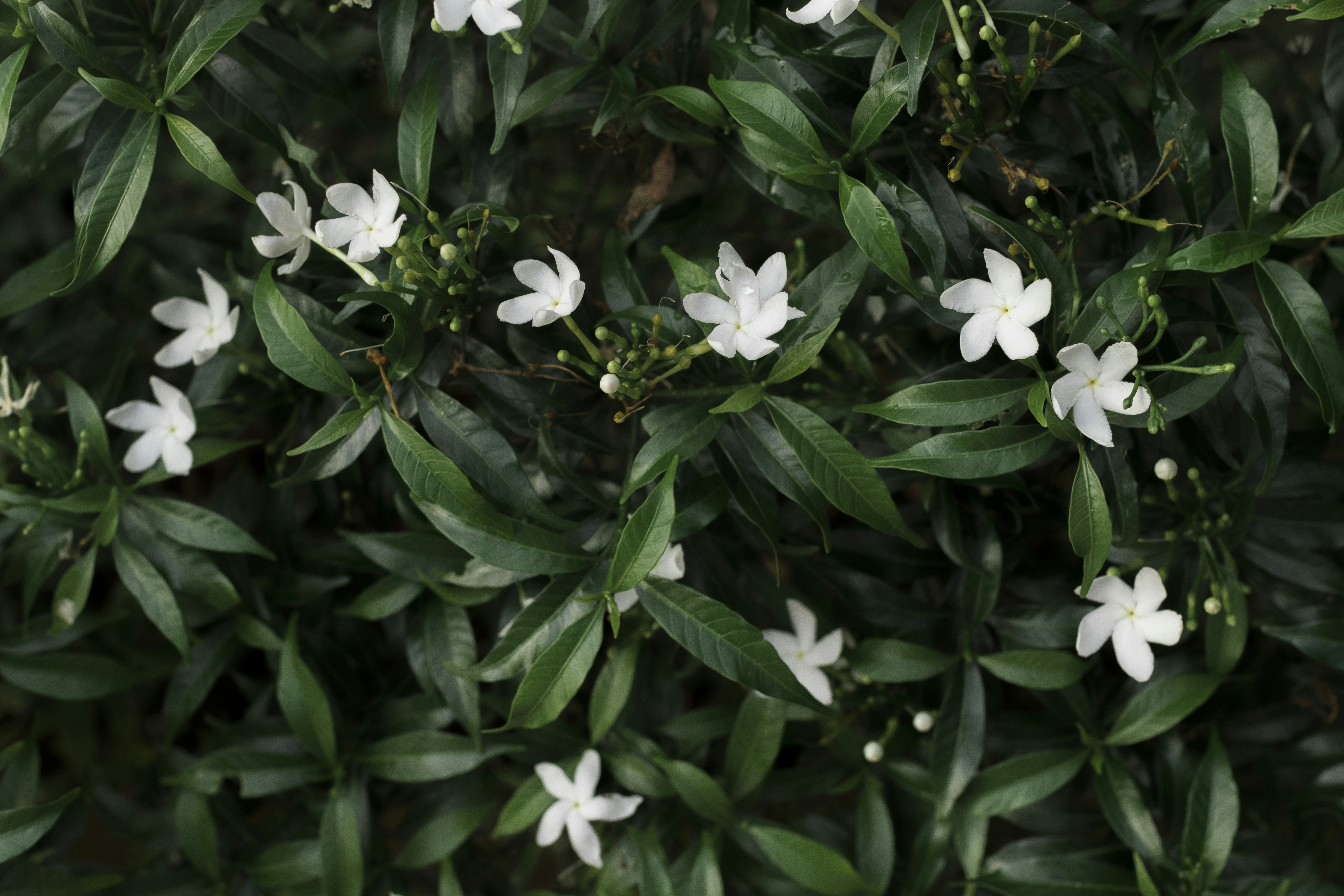 Photo by hannyhilary