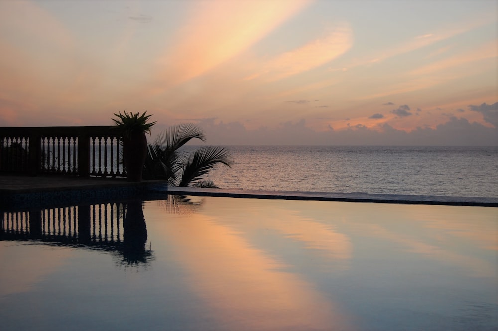 silhouette of palm tree near body of water during sunset