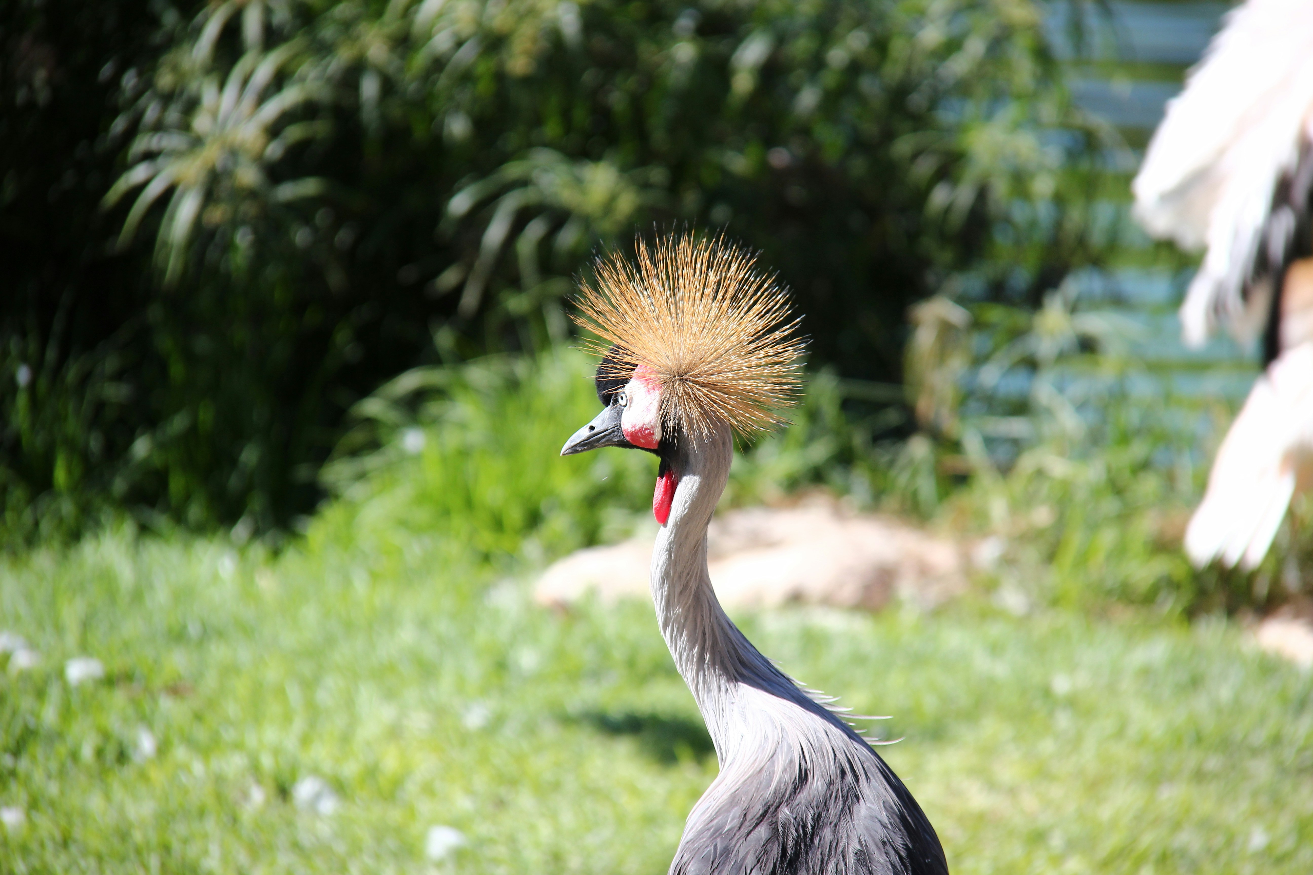 Photo by shalevcohen