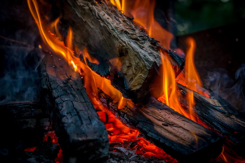 burning wood during night time