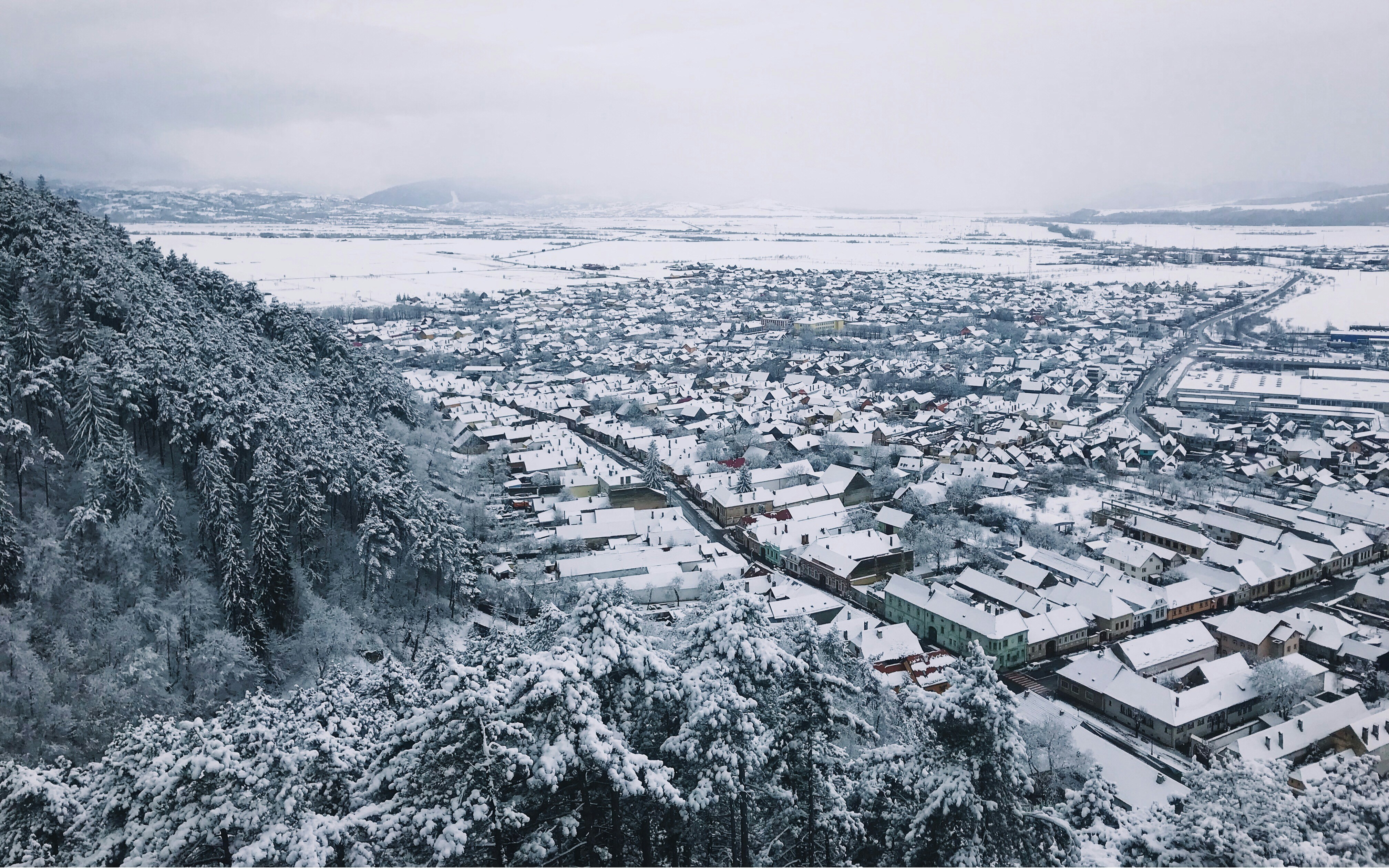 Photo by stefangalescu